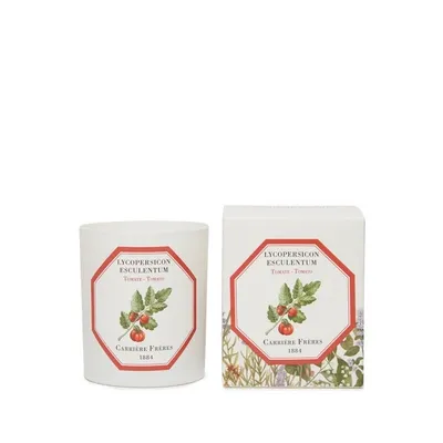 Carriere Freres Bougie Parfumée Tomate - Lycopersicon Esculentum - 185 G In White