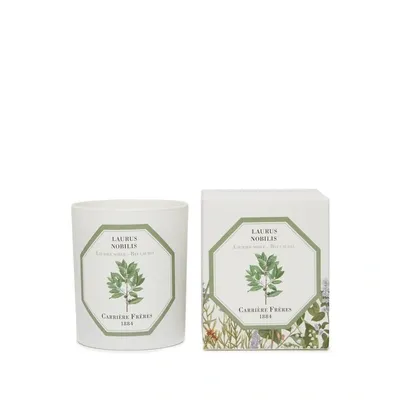 Carriere Freres Bougie Parfumée Laurier Noble - Laurus Nobilis - 185 G In White