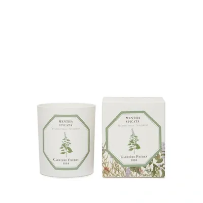 Carriere Freres Bougie Parfumée Menthe Verte - Mentha Spicata - 185 G In White