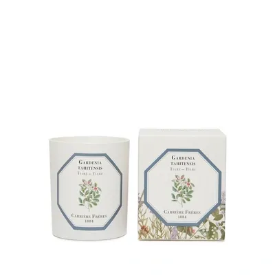 Carriere Freres Bougie Parfumée Tiaré - Gardenia Tahitensis - 185 G In White