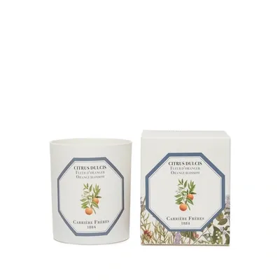 Carriere Freres Bougie Parfumée Fleur D'oranger - Citrus Dulcis - 185 G In White