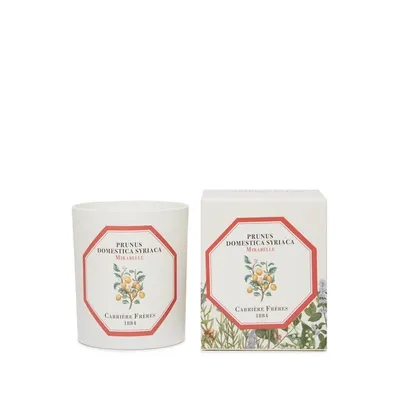 Carriere Freres Bougie Parfumée Mirabelle - Prunus Domestica Syriaca - 185 G In White