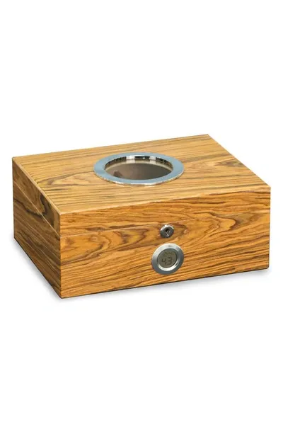 Bey-berk Lacquered Olive Wood Humidor In Brown