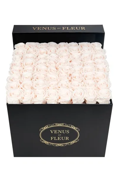 Venus Et Fleur Classic Large Eternity Roses In Blush