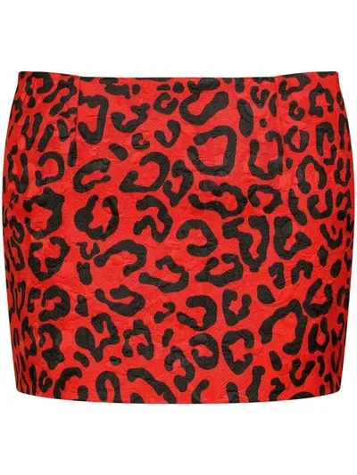 Dolce & Gabbana Leopard Brocade Mini Skirt In Black