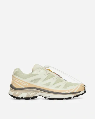 Salomon Scarpe Xt-6 Aloe Wash/hazelnut/feather Gray In Multicolor