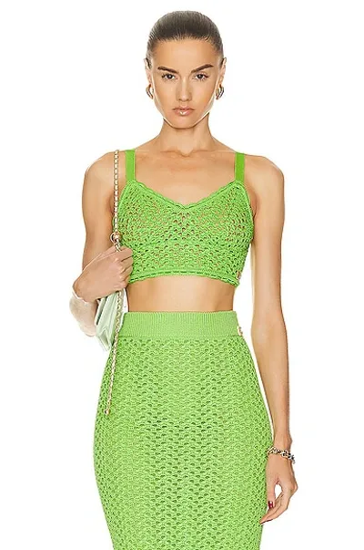 Dolce & Gabbana Crochet-knit Bralette Top In Green