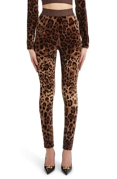 Dolce & Gabbana Leopard-print Jacquard Leggings In Multicolor