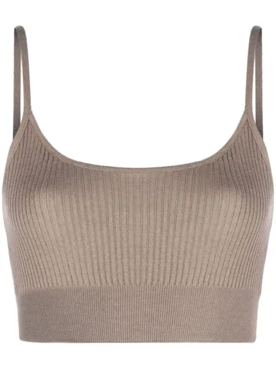 Wild Cashmere Carmen Ribbed-knit Crop Top In Brown