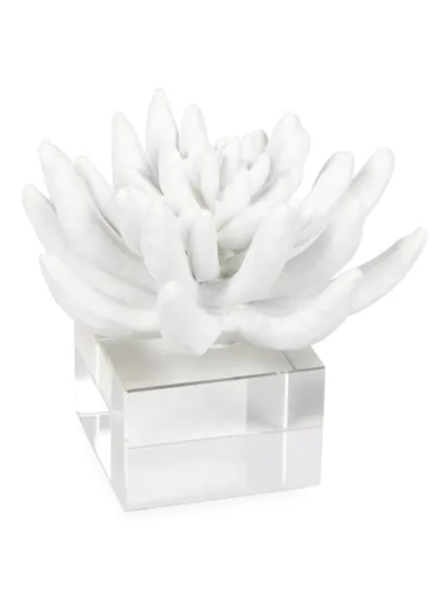 Regina Andrew Succulent Resin Sculpture 2 In White