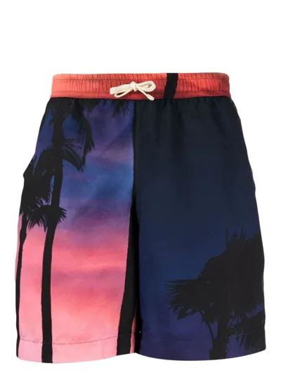 Blue Sky Inn Palm-tree Print Shorts In Blue