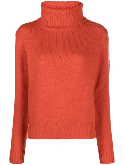 Polo Ralph Lauren Roll-neck Wool Jumper In Orange