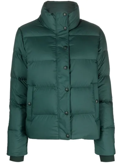 Patagonia Press-stud Down Puffer Jacket In Green