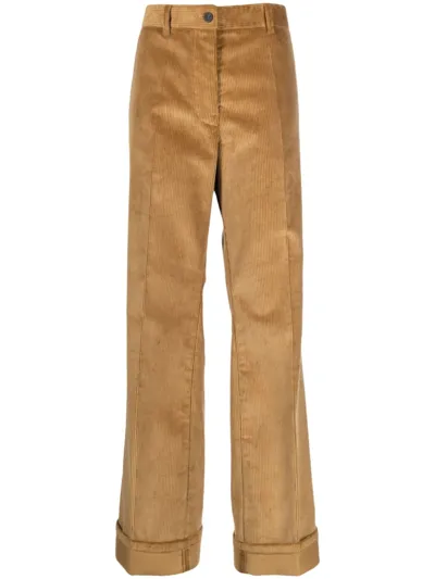 Miu Miu Velluto Coste Chino In Brown