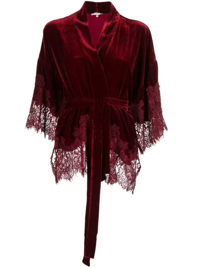 Gold Hawk Lace-detail Belted Velvet Jacket In Red