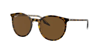 Ray Ban Ray In Brown