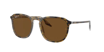 Ray Ban Ray In Brown