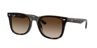 Ray Ban Ray In Brown