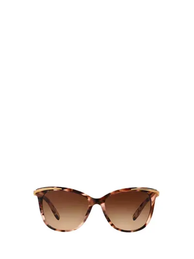 Ralph By Ralph Lauren Eyewear Cat In Multi