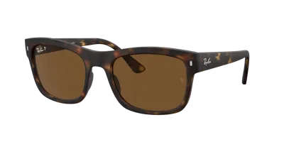 Ray Ban Ray In Brown