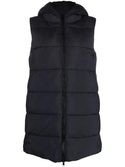 Canadian Club Wagathe Hooded Gilet In Blue