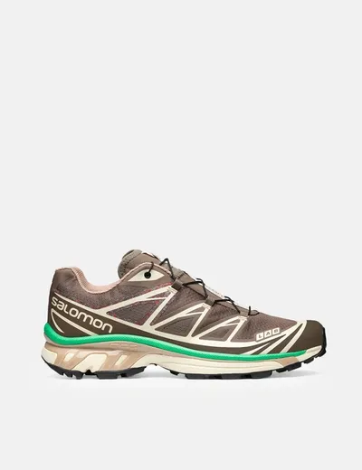 Salomon Xt-6 Low-top Sneakers In Brown