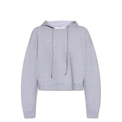 Stella Mccartney Sweatshirt With Logo Embroidery In Gray