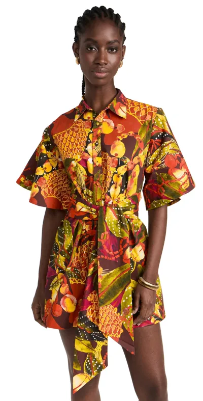 Andrea Iyamah Women's Shanti Printed Cotton Romper In Kola Print