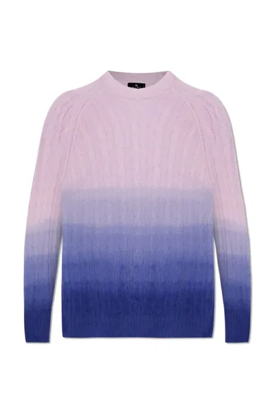 Etro Oversized Crewneck Jumper In Pink