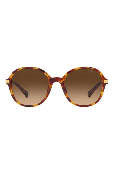 Ralph 54mm Gradient Round Sunglasses In Havana