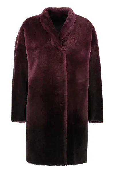 Salvatore Santoro Lamb Fur Coat In Prune