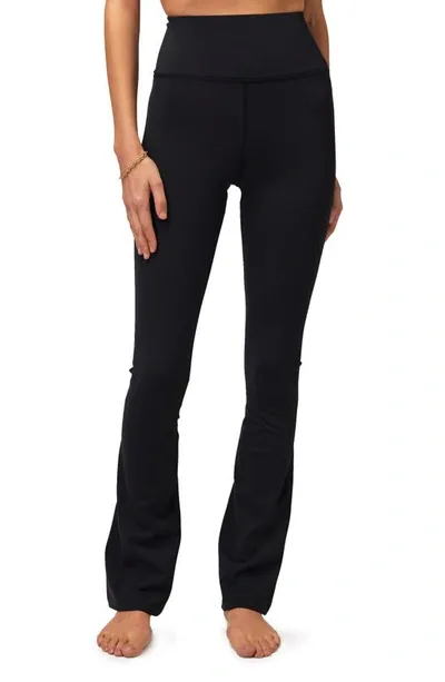 Spiritual Gangster Giselle Dream Tech Eco Pants In Black