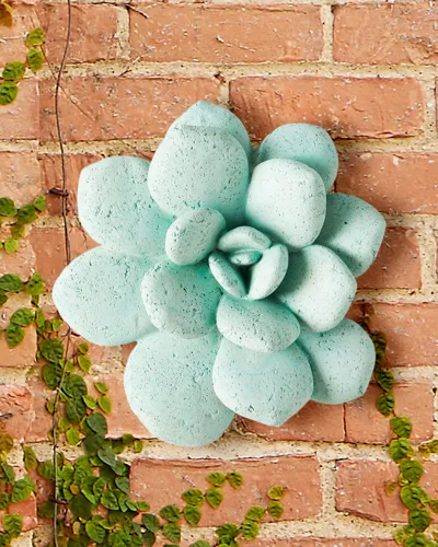 The Phillips Collection Laui Succulent Wall Art, Sage In Green