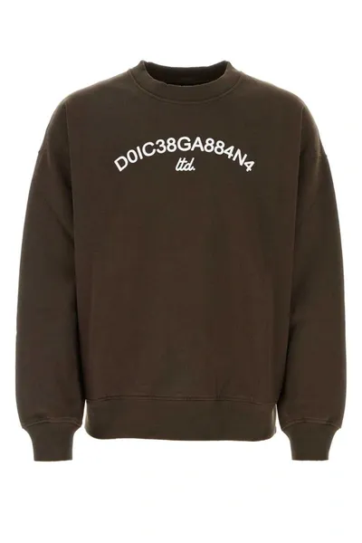 Dolce & Gabbana Logo Printed Crewneck Sweatshirt In Brown