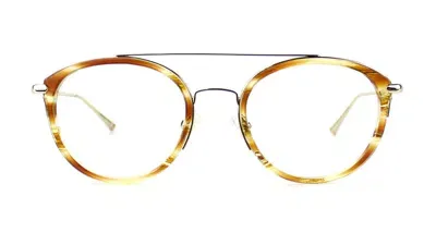 Taylor Morris Eyewear Sw14 C3 Glasses In Brown