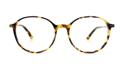 Taylor Morris Eyewear Sw1 C3 Glasses In Brown