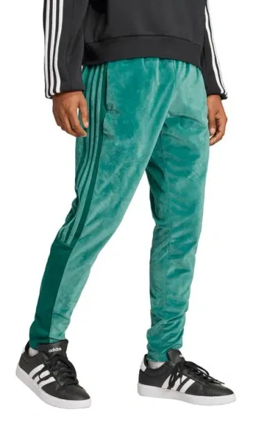 Adidas Sportswear House Of Tiro Recycled Polyester Velour Track Pants In Collegiate Green