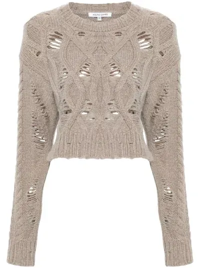 Aisling Camps Cable-knit Cropped Sweater In Grau