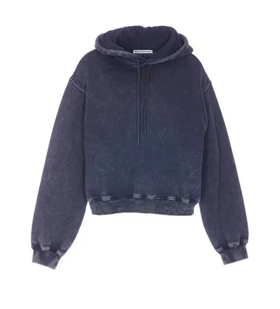 Alexander Wang Sweaters In Blue