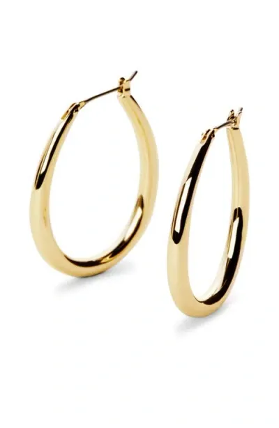 Ana Luisa Gold Hoop Earrings