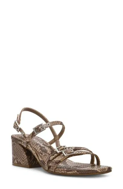 Anne Klein Women's Mackenzie Strappy Buckle Block Heel Dress Sandals In Snake Taupe