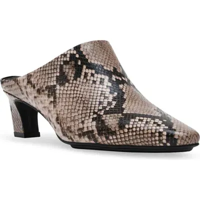 Anne Klein Sarafena Mule In Natural Snake