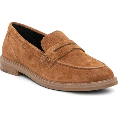 Ara Kalendra Penny Loafer In Nuts