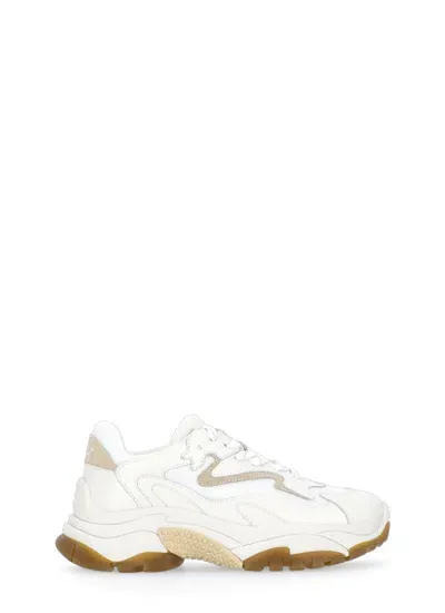 Ash Sneakers Ivory In White