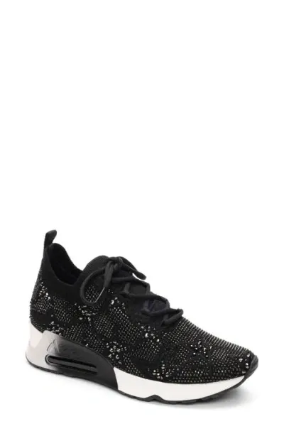 Ash Lucky Shine Knit Sneaker In Black