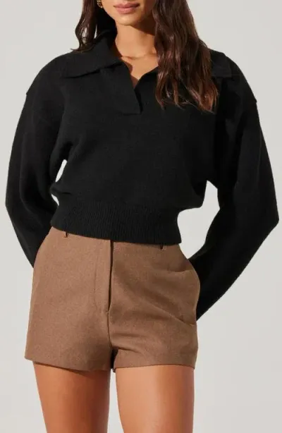 Astr The Label Crop Polo Sweater In Black