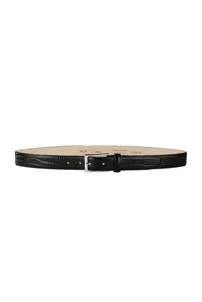 Aureum Crocodile Embossed Belt In Black & Silver