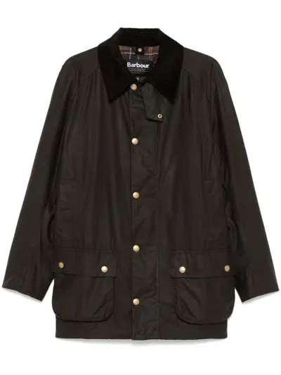 Barbour Beausby Coat In Green