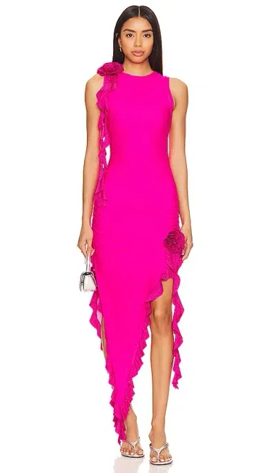 Beach Riot Sabine Dress In Fuchsia Peony