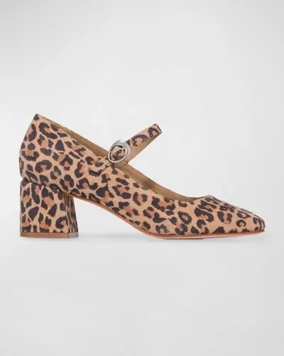 Bernardo Ancona Suede Mary Jane Pumps In Sand Cheetah Kid Suede